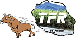 Logo Technique Frein Reunion